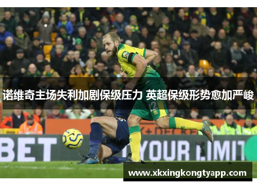 诺维奇主场失利加剧保级压力 英超保级形势愈加严峻