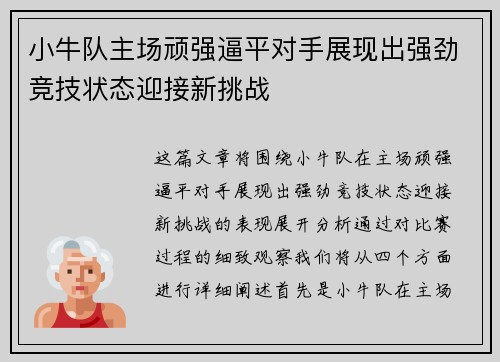 小牛队主场顽强逼平对手展现出强劲竞技状态迎接新挑战